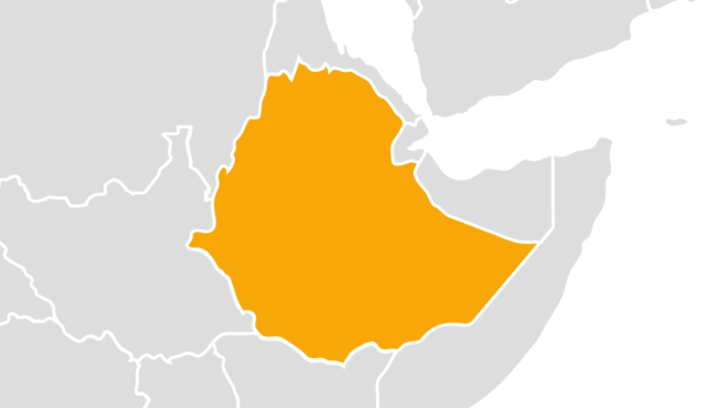 Conflict between the Ethiopian federal government and the political administration of the northern Tigray region, the Tigray People’s Liberation Front (TPLF), continued throughout 2021, resulting in the highest levels of political violence in Ethiopia since the end of the Ethiopian-Eritrean War in June 2000.