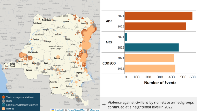 The presence of over a hundred armed groups engaging in multiple conflicts over territorial and resource control continued to create instability in the Democratic Republic of the Congo (DRC) in 2022.