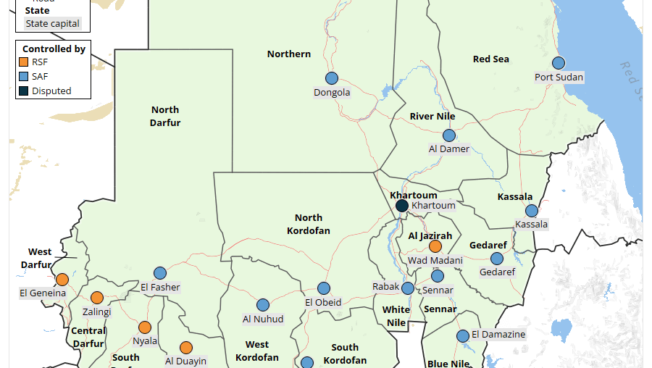 Sudan Situation Update: January 2024 | The Rapid Support Forces (RSF) Gains Ground in Sudan