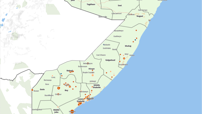 March 2024 | Somalia: Al-Shabaab Regains Lost Territories Amid Run-up to State Elections
