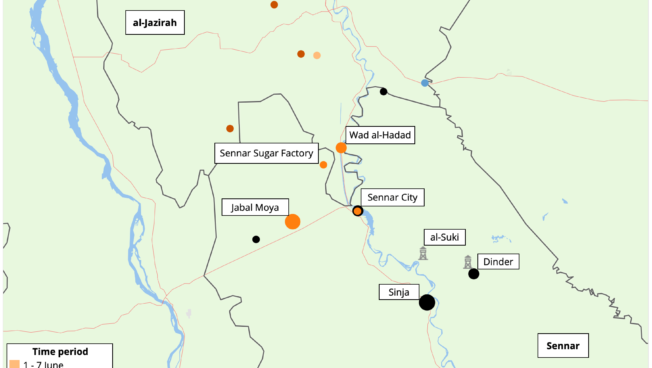 Sudan: The RSF marches on Sennar and West Kordofan - July 2024