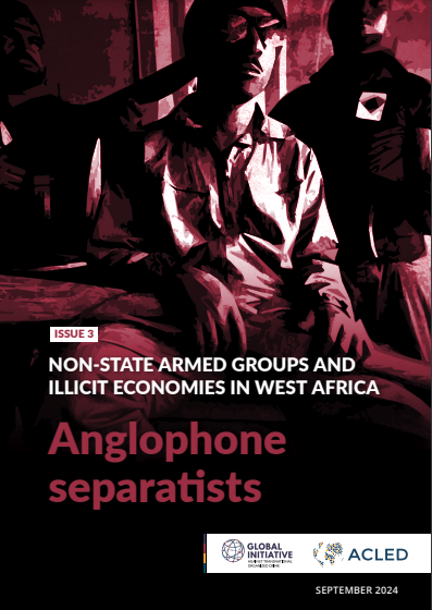 anglophone separatists report cover