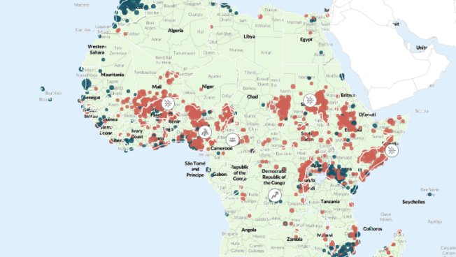 Africa Overview - January 2025