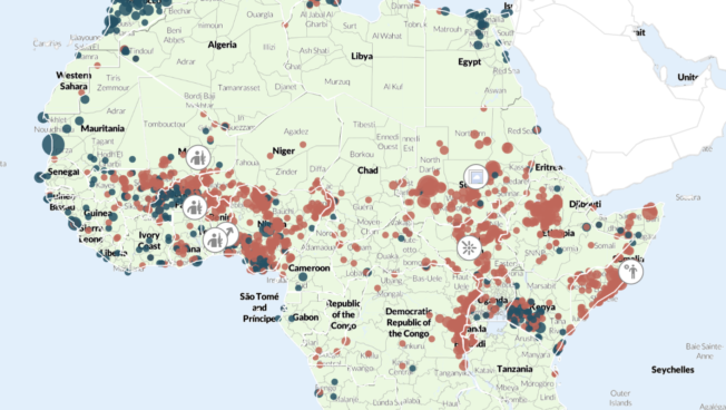 Regional Overview Africa May 2025