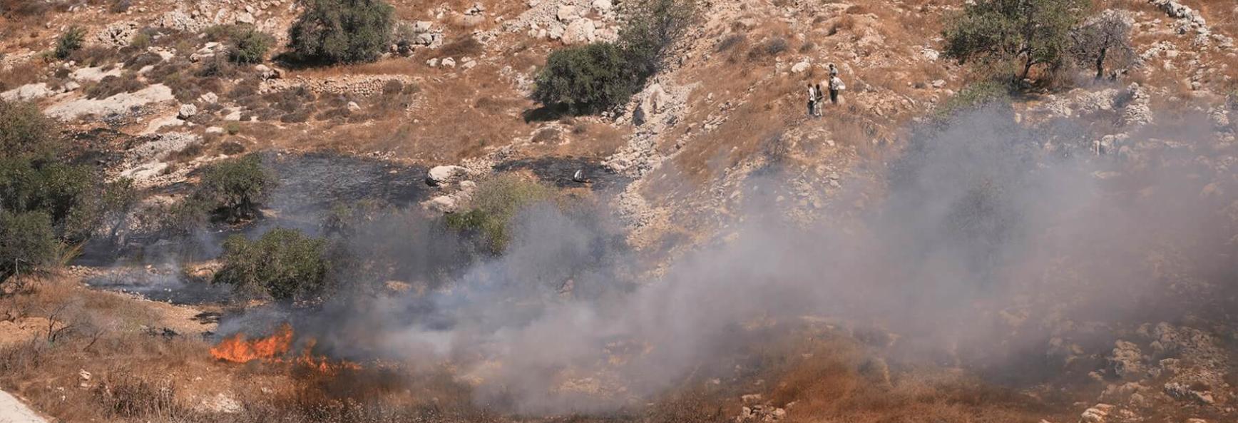Israeli settlers stand as smoke and flames rise from olive groves, which Palestinians say were set alight by Israeli settlers, in Burqa in the Israeli-occupied West Bank on 17 September 2026.