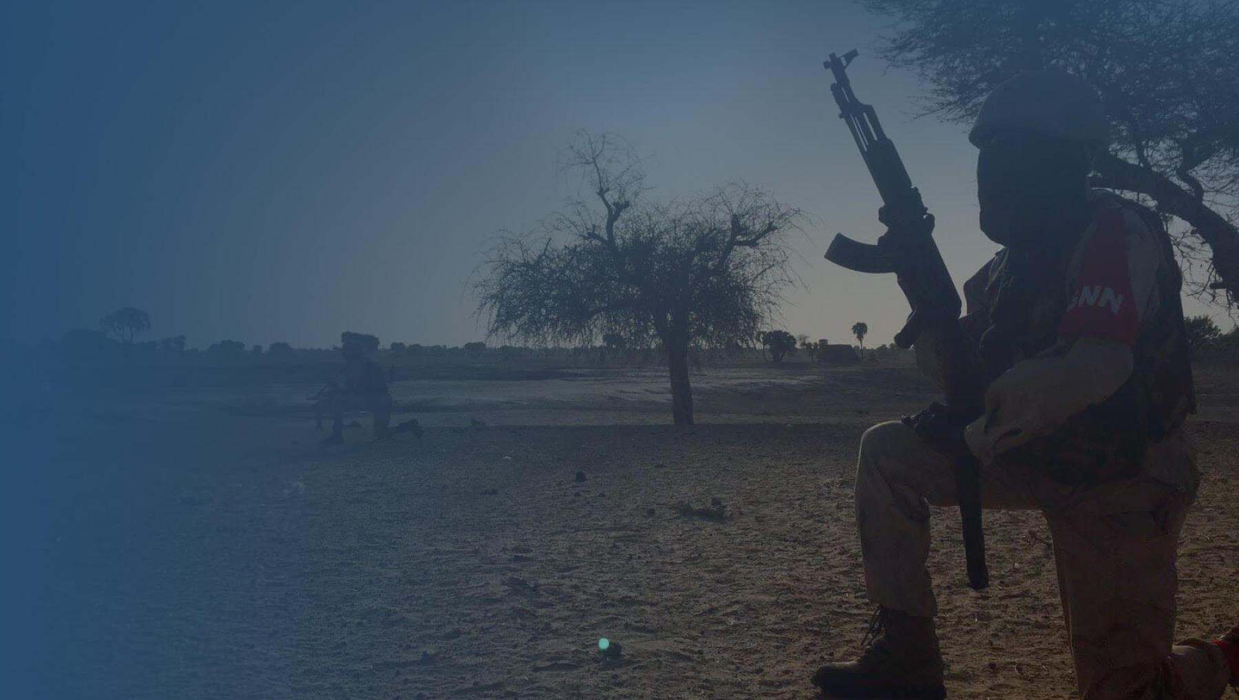 Nigeria_Banner_national_guard_soldier_in_zenam_kelouri_2016_0-1