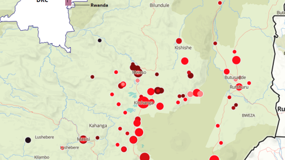 Rwanda-backed M23 Rebels Advance Toward Goma in Eastern DR Congo | ACLED Insight