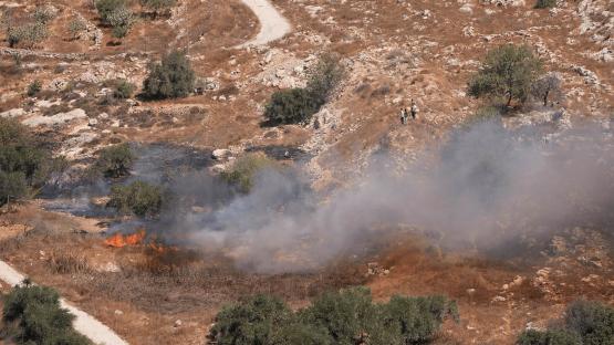Israeli settlers stand as smoke and flames rise from olive groves, which Palestinians say were set alight by Israeli settlers, in Burqa in the Israeli-occupied West Bank on 17 September 2026.