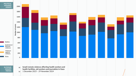 Palestine: 2024 Conflict Index infographic