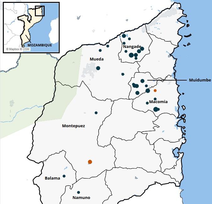 Actor Profile | Local Forces: The Communal Militias of Mozambique